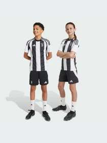 Шорты Adidas модель IT3553 Фото