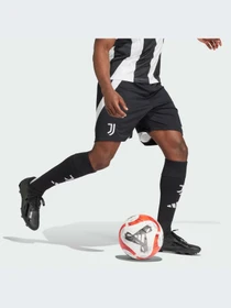 Шорты Adidas модель IS8003 Фото