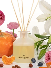 Аромадифузор Pumpkin Wallnut Aroma Purete модель DIF0007 Фото