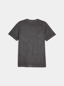 Футболки і поло PUMA M Studio Foundation Wash Tee модель 523202 Фото