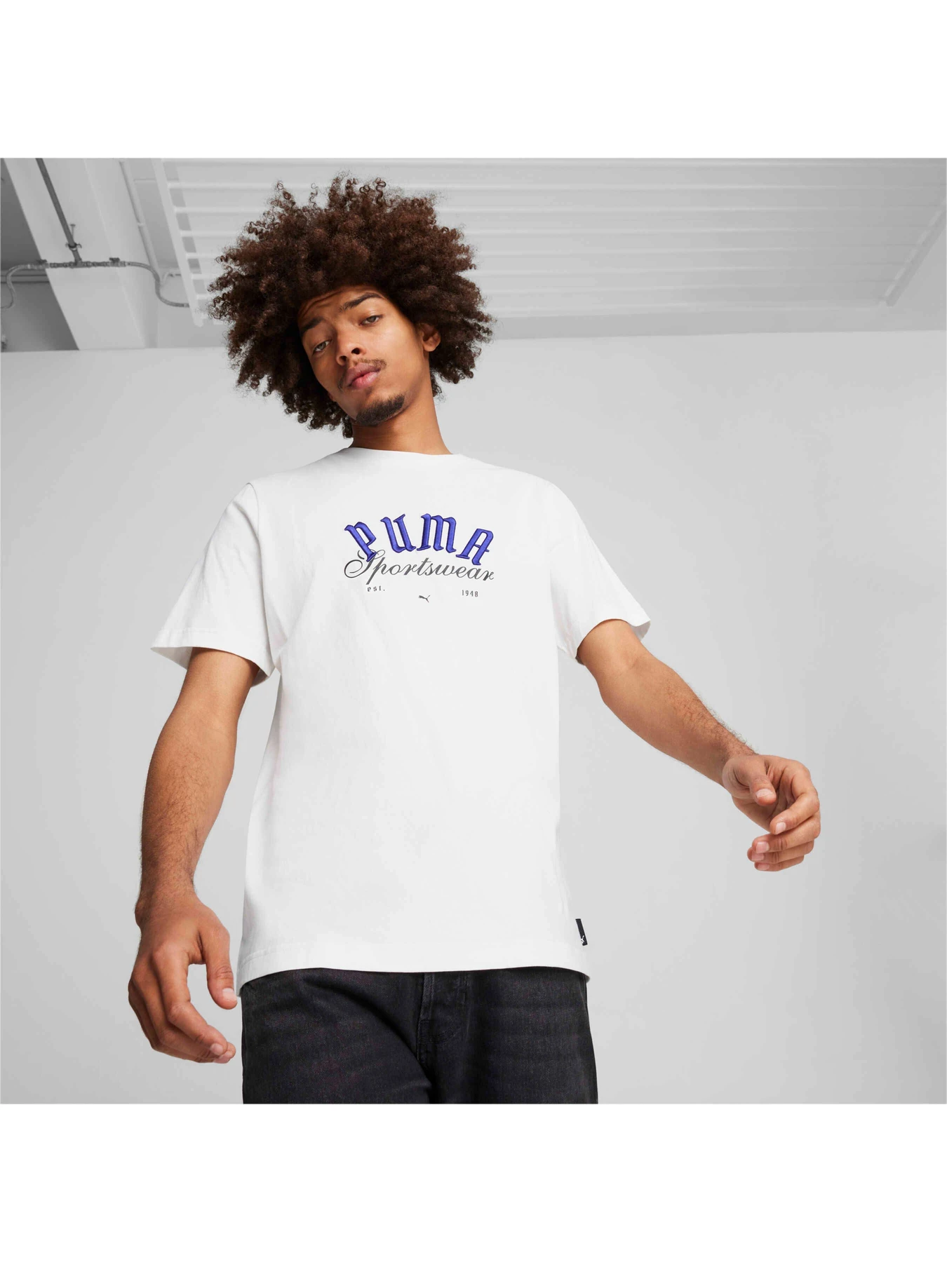 Футболки і поло PUMA Graphics Sportswear Tee модель 628009 Футболки і поло PUMA Graphics Sportswear Tee модель 628009 Фото