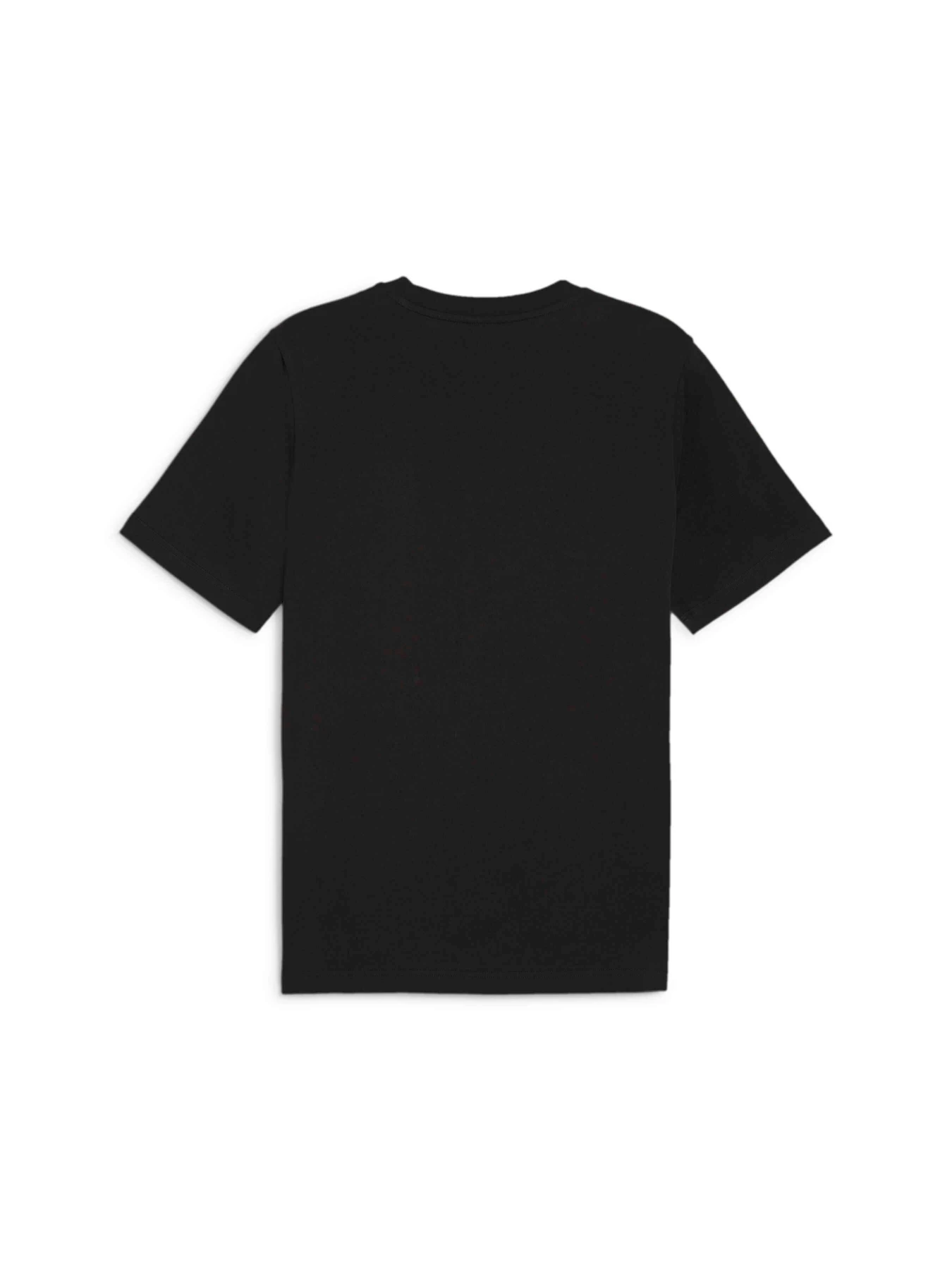 Футболки і поло PUMA Classics Small Logo Tee модель 679187 Фото