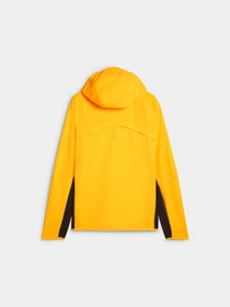 Куртки та дублянки PUMA Run Ultwve Raincell Jacket M модель 525799 Фото