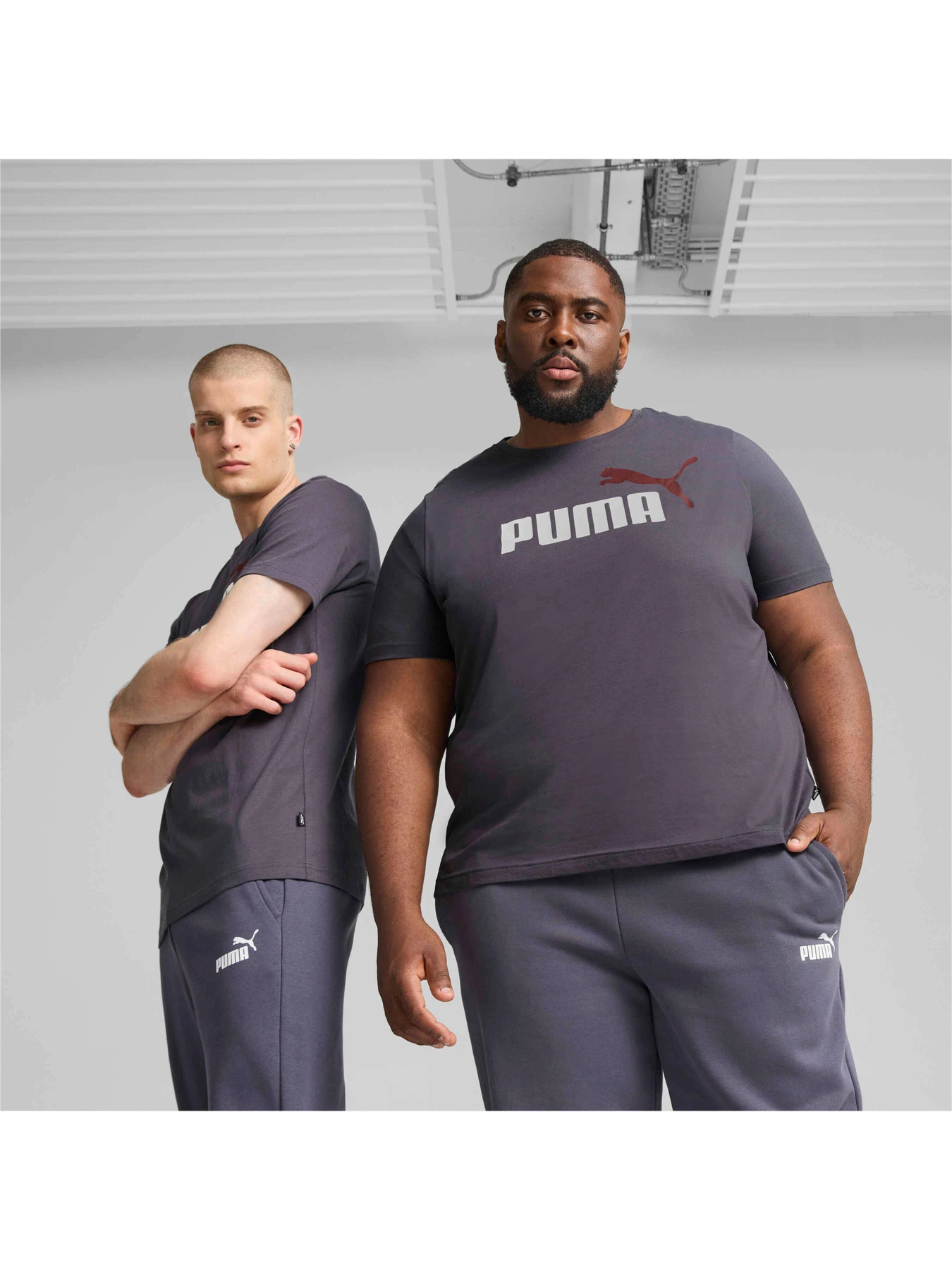 Футболки і поло PUMA Ess+ 2 Col Logo Tee модель 586759 Футболки і поло PUMA Ess+ 2 Col Logo Tee модель 586759 Фото
