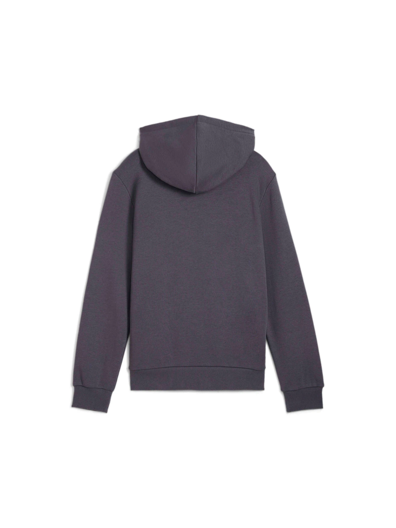 Худи и свитшоты PUMA Ess Big Logo Hoodie модель 586965 Фото