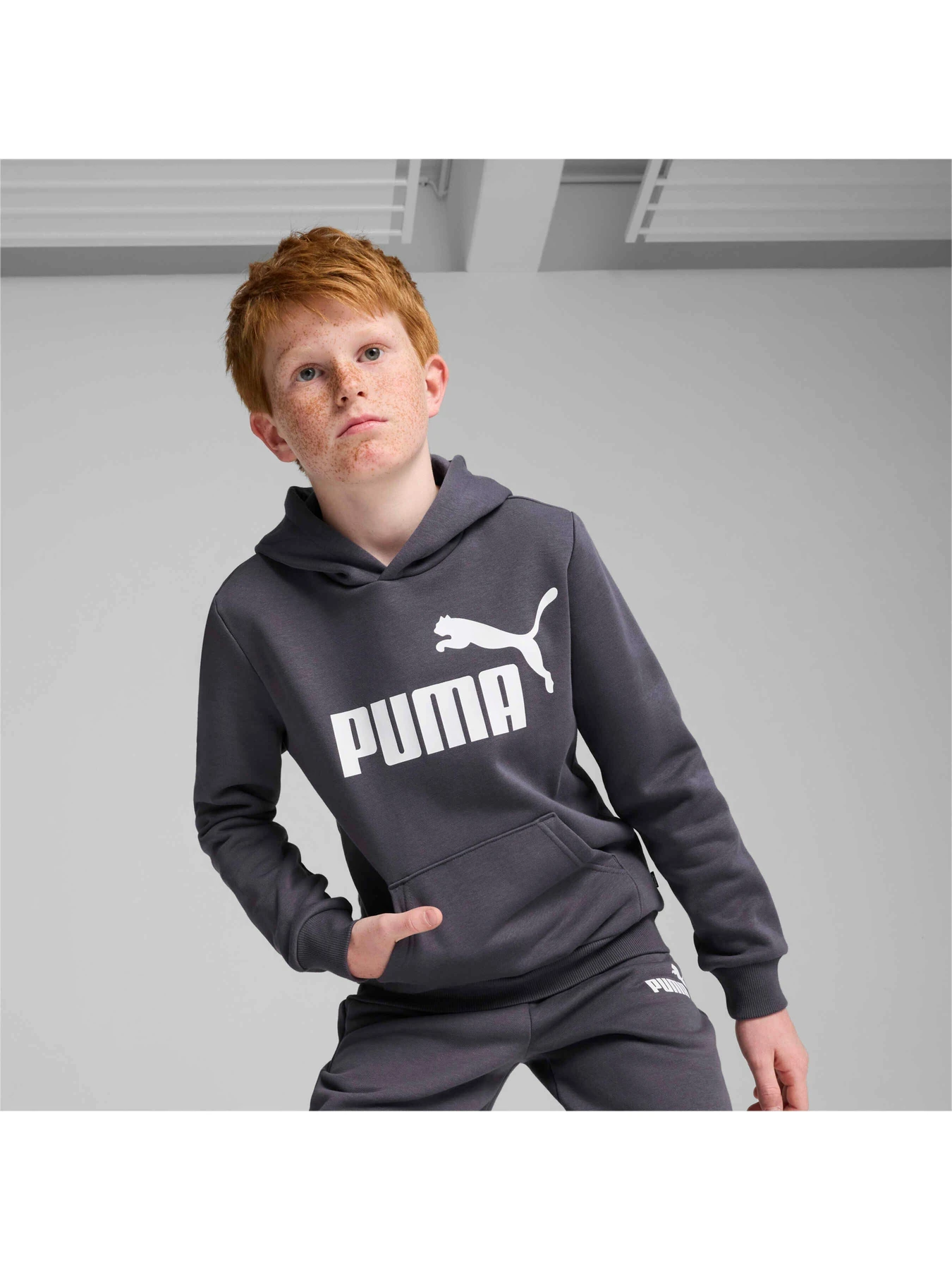 Худи и свитшоты PUMA Ess Big Logo Hoodie модель 586965 Фото