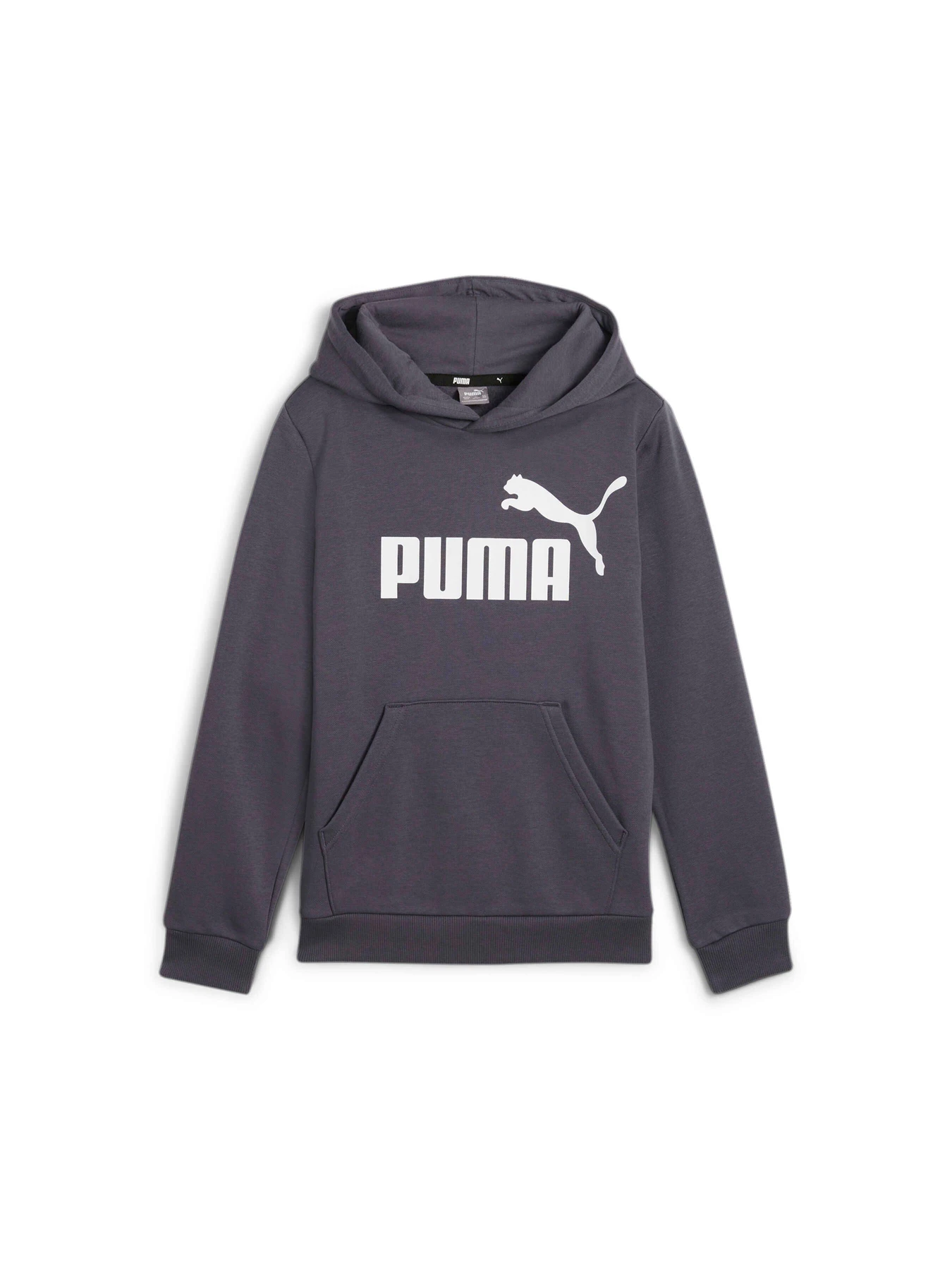 Худи и свитшоты PUMA Ess Big Logo Hoodie модель 586965 Фото