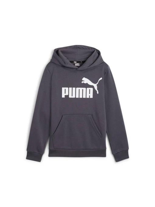 Худи и свитшоты PUMA Ess Big Logo Hoodie модель 586965 Фото