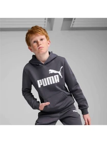 Худи и свитшоты PUMA Ess Big Logo Hoodie модель 586965 Фото