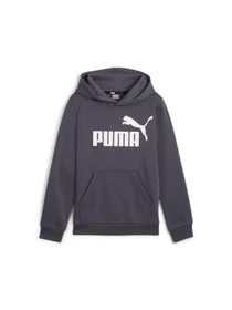 Худи и свитшоты PUMA Ess Big Logo Hoodie модель 586965 Фото