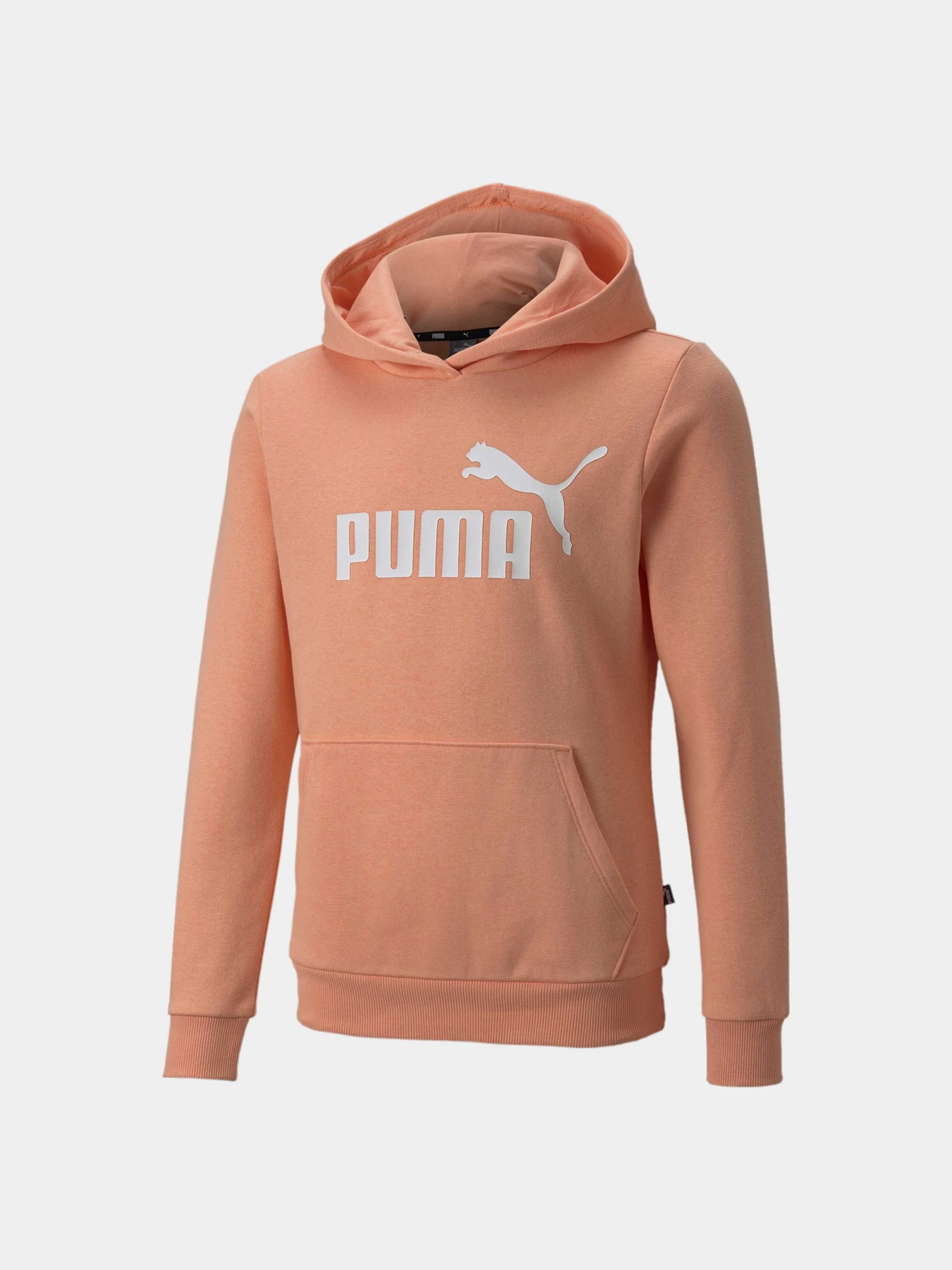 Худи и свитшоты PUMA Ess Logo Hoodie модель 587031 Фото
