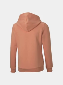 Худи и свитшоты PUMA Ess Logo Hoodie модель 587031 Фото