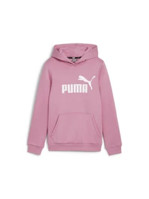 Худи и свитшоты PUMA Ess Logo Hoodie модель 587031 Фото