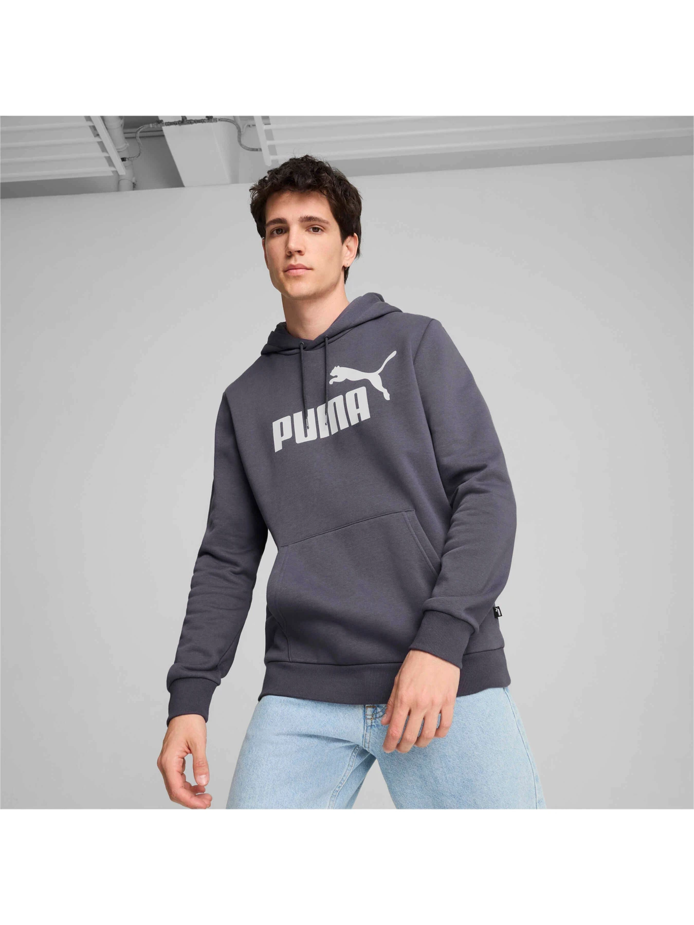 Худі та світшоти PUMA Ess Big Logo Hoodie модель 586687 Худі та світшоти PUMA Ess Big Logo Hoodie модель 586687 Фото
