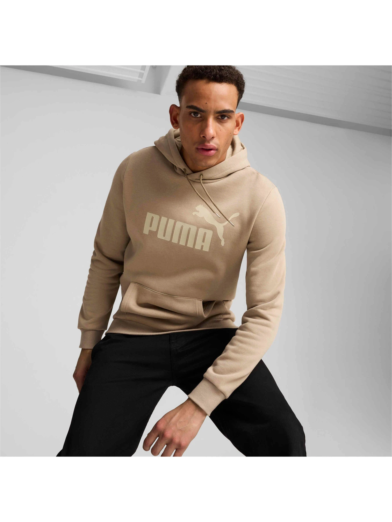 Худи и свитшоты PUMA Ess Big Logo Hoodie модель 586687 Фото