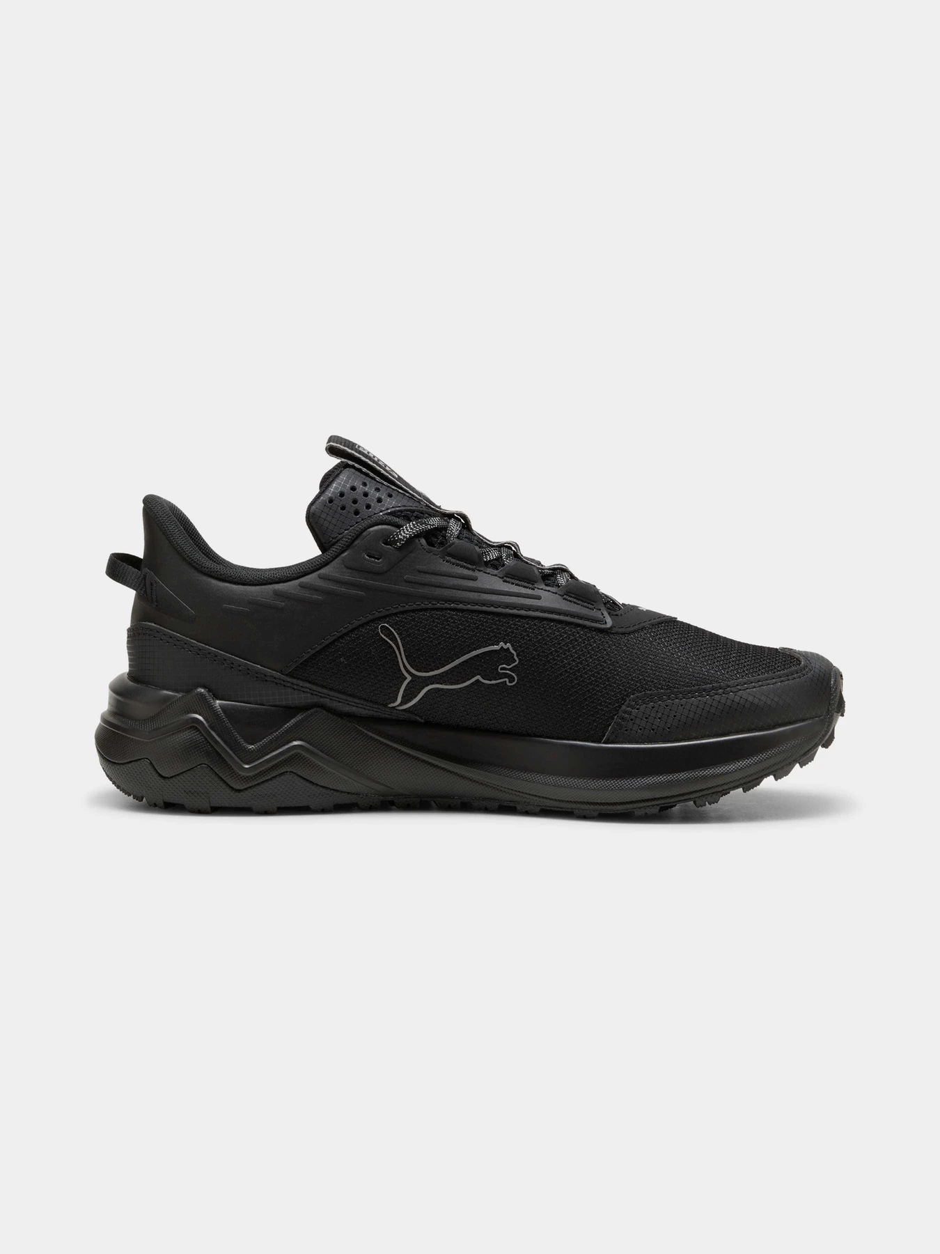 Кросівки PUMA Extend Lite Trail модель 379538 Фото