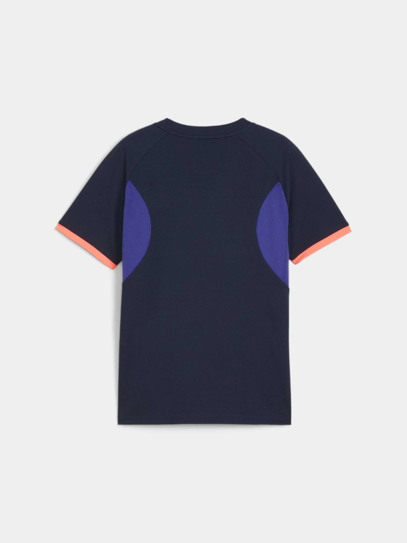 Футболки и поло PUMA Indiliga Graphic Jersey Jr модель 659525 Фото