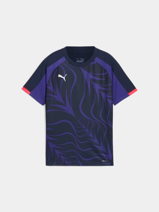 Футболки и поло PUMA Indiliga Graphic Jersey Jr модель 659525 Фото