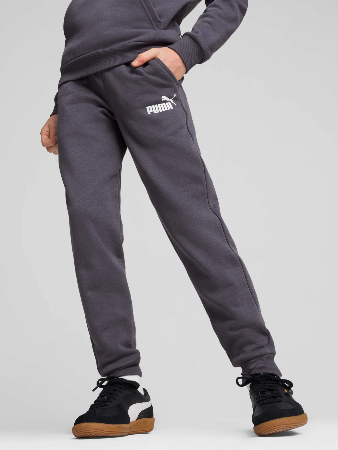 Брюки PUMA Ess Logo Pants модель 586973 Брюки PUMA Ess Logo Pants модель 586973 Фото