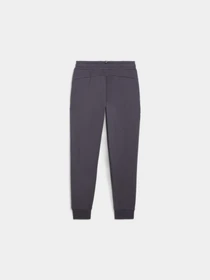 Брюки PUMA Ess Logo Pants модель 586973 Фото