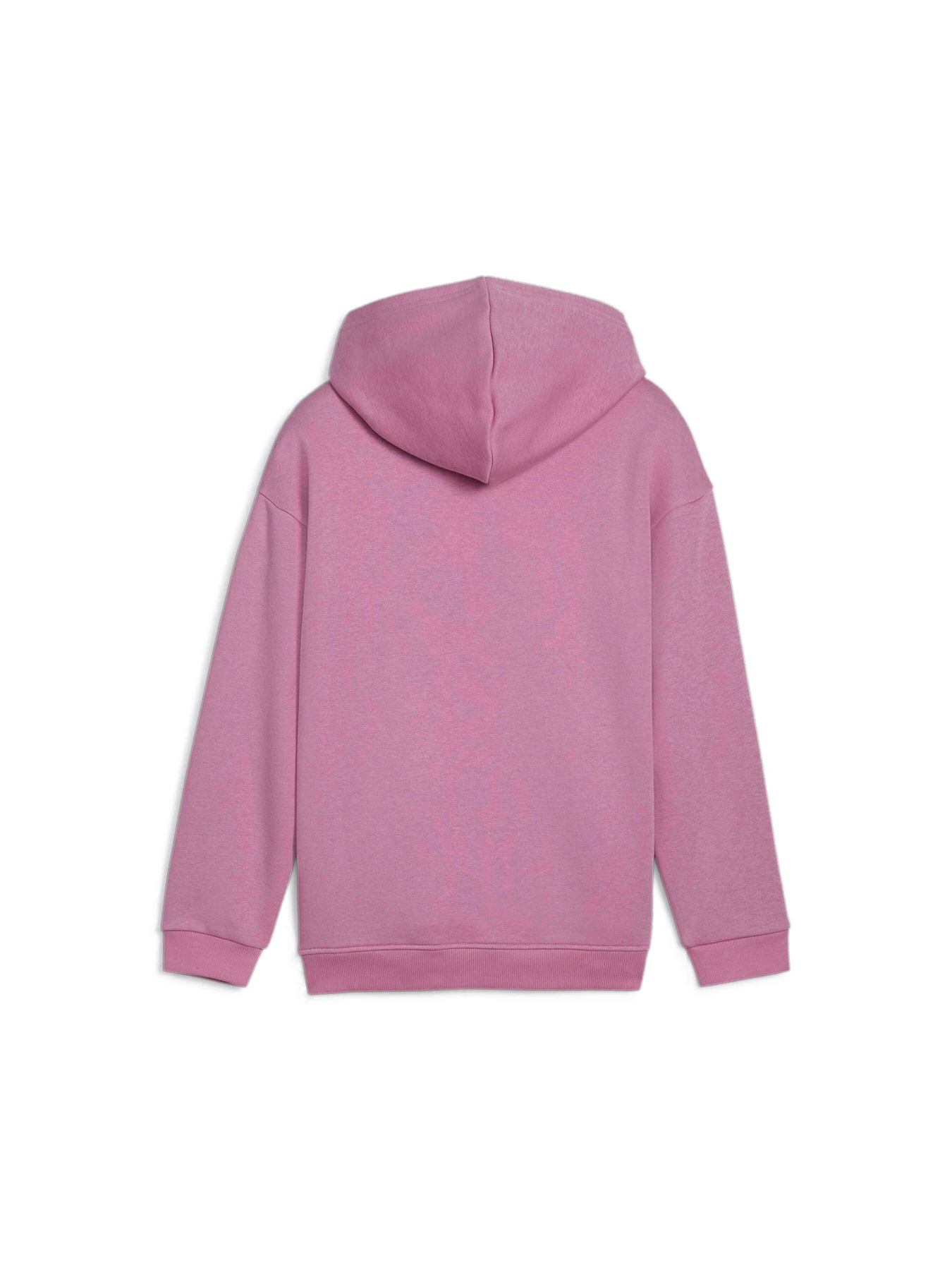 Худи и свитшоты PUMA Ess+ Tropicat Hoodie Fl модель 681827 Худи и свитшоты PUMA Ess+ Tropicat Hoodie Fl модель 681827 Фото