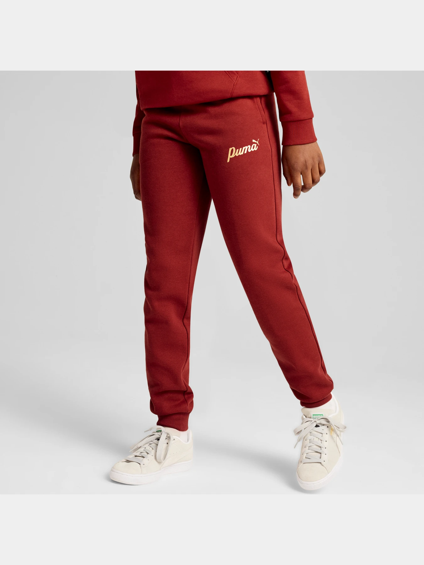 Штани PUMA Ess+ Script Pants Fl модель 682799 Фото