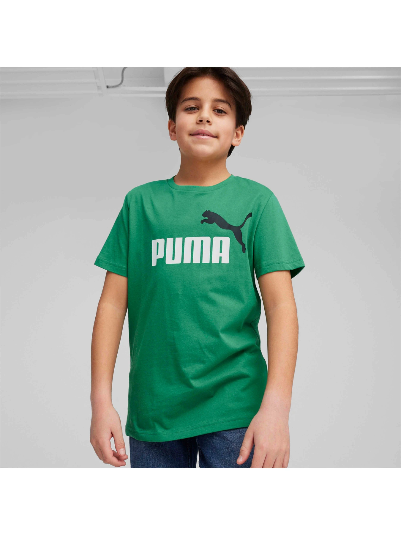 Футболки и поло PUMA Ess+ 2 Col Logo Tee модель 586985 Фото
