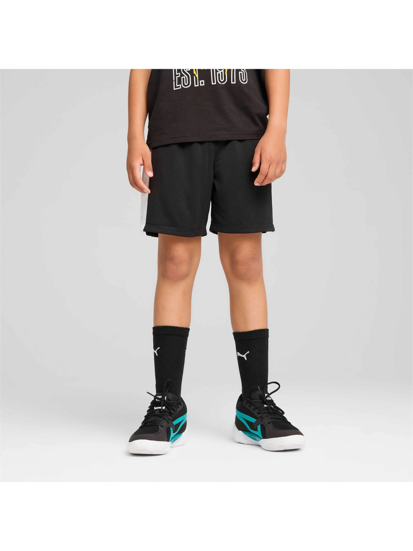 Шорти PUMA Bball Blueprint Mesh Shorts модель 679983 Фото