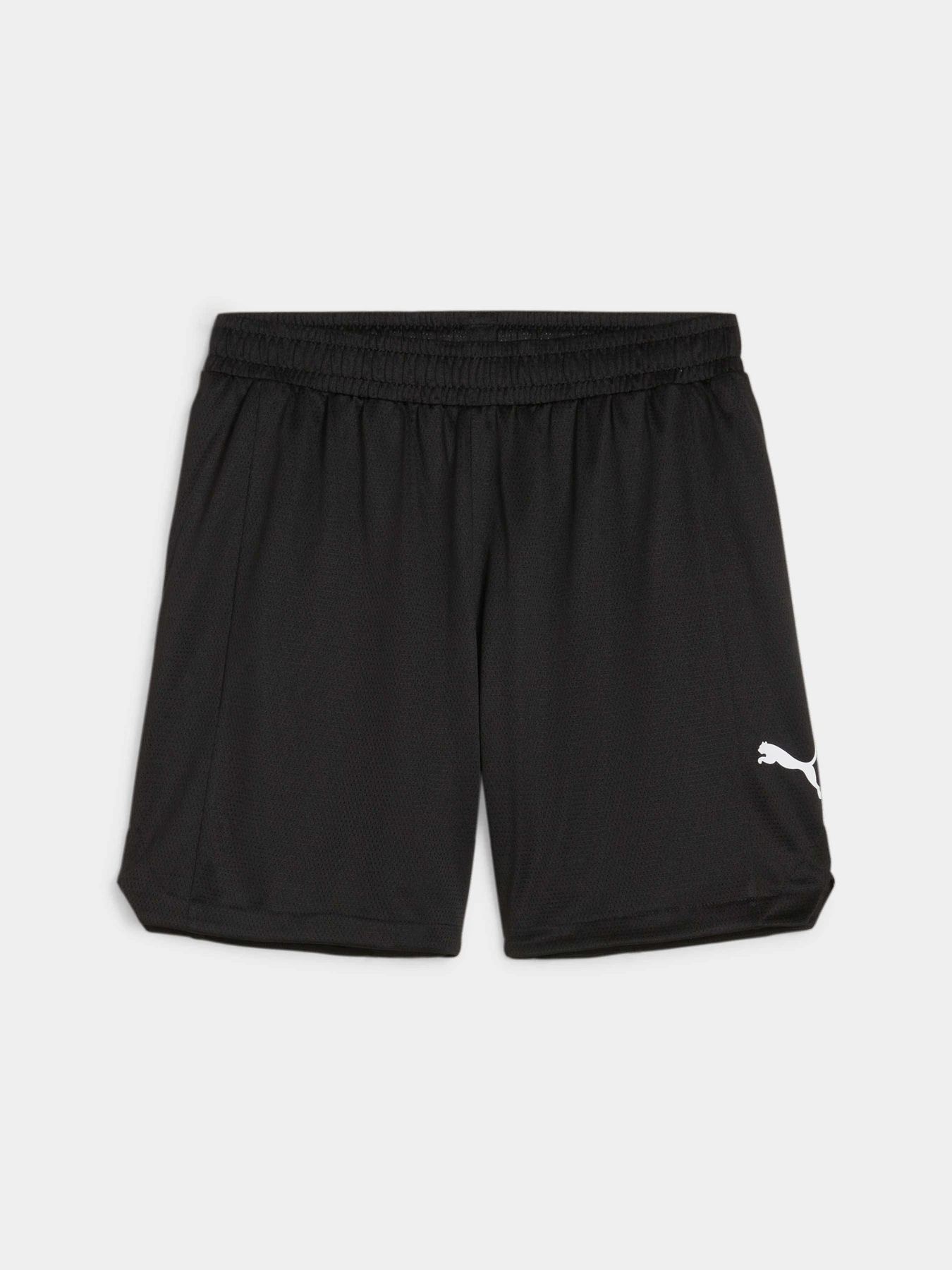 Шорты PUMA Bball Blueprint Mesh Shorts модель 679983 Фото