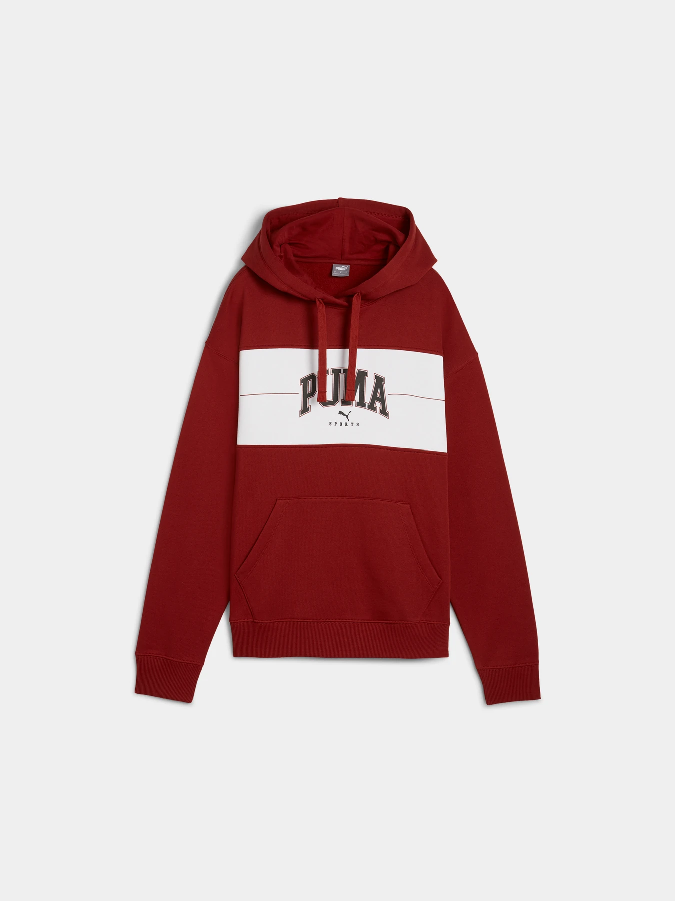 Худи и свитшоты PUMA Squad Hoodie Fl модель 681540 Фото