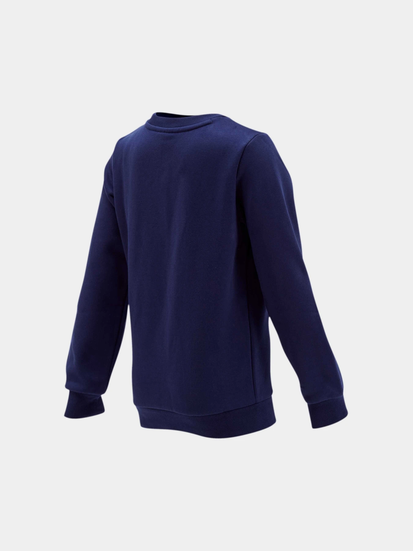 Худи и свитшоты PUMA Boys Ess Crew Sweat Fl модель 854965 Худи и свитшоты PUMA Boys Ess Crew Sweat Fl модель 854965 Фото