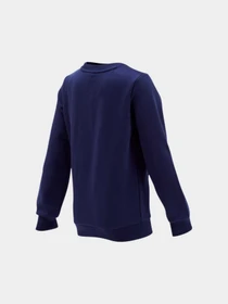 Худи и свитшоты PUMA Boys Ess Crew Sweat Fl модель 854965 Фото