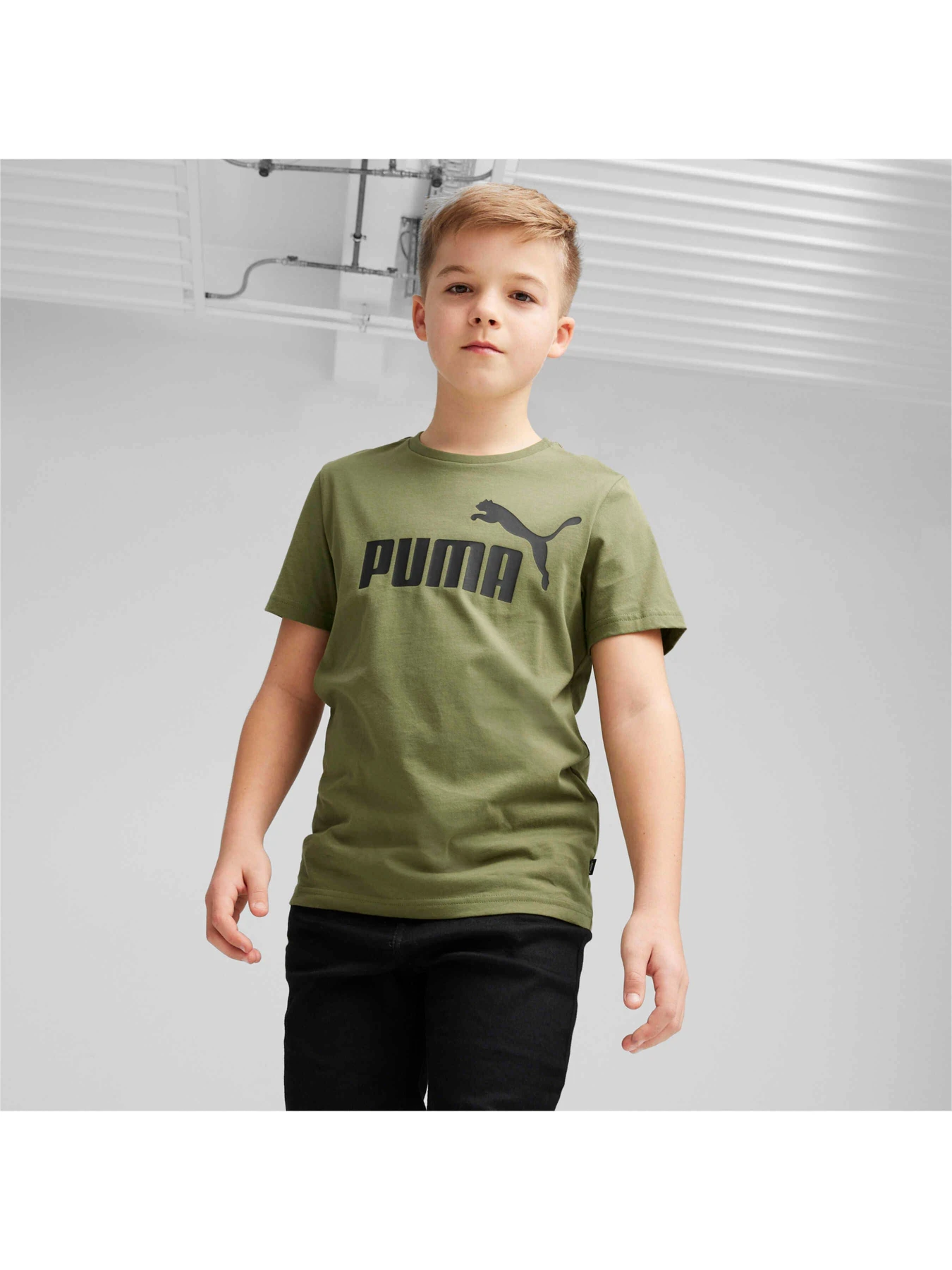 Футболки и поло PUMA Ess Logo Tee модель 586960 Фото