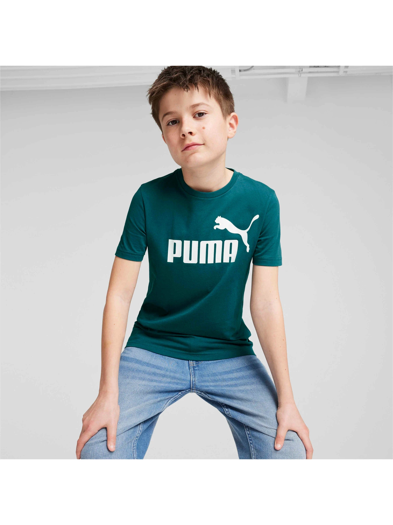 Футболки и поло PUMA Ess Logo Tee модель 586960 Фото