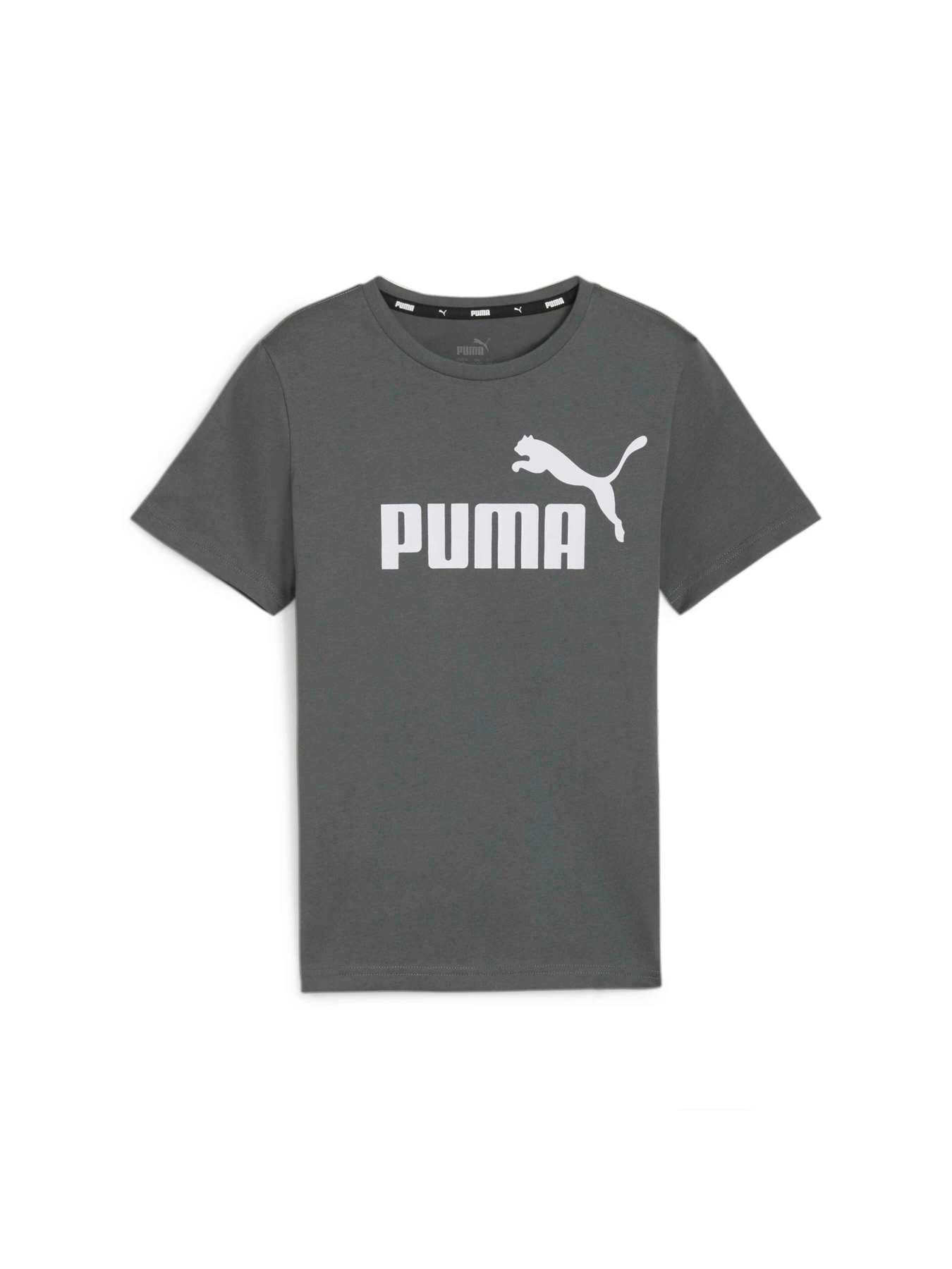 Футболки и поло PUMA Ess Logo Tee модель 586960 Фото