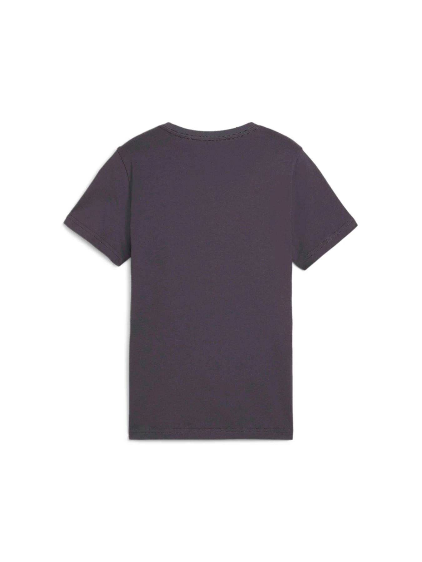 Футболки и поло PUMA Ess+ Mid 90s Graphic Tee модель 681873 Фото