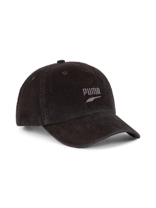 Шапки и кепки PUMA Skate Dad Cap модель 025502 Фото