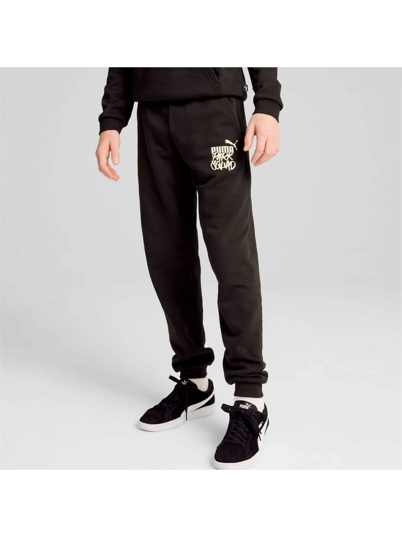 Штани PUMA Ess+ Mid 90s Sweatpants Fl модель 681878 Фото
