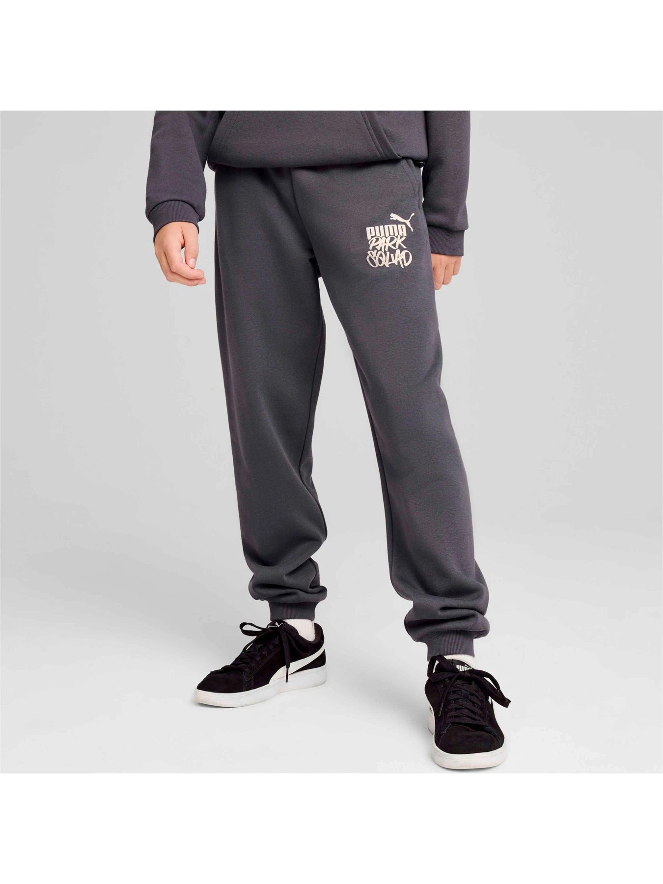 Брюки PUMA Ess+ Mid 90s Sweatpants Fl модель 681878 Фото