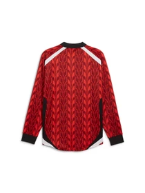 Худи и свитшоты PUMA Football Jersey Longsleeve модель 627543 Фото