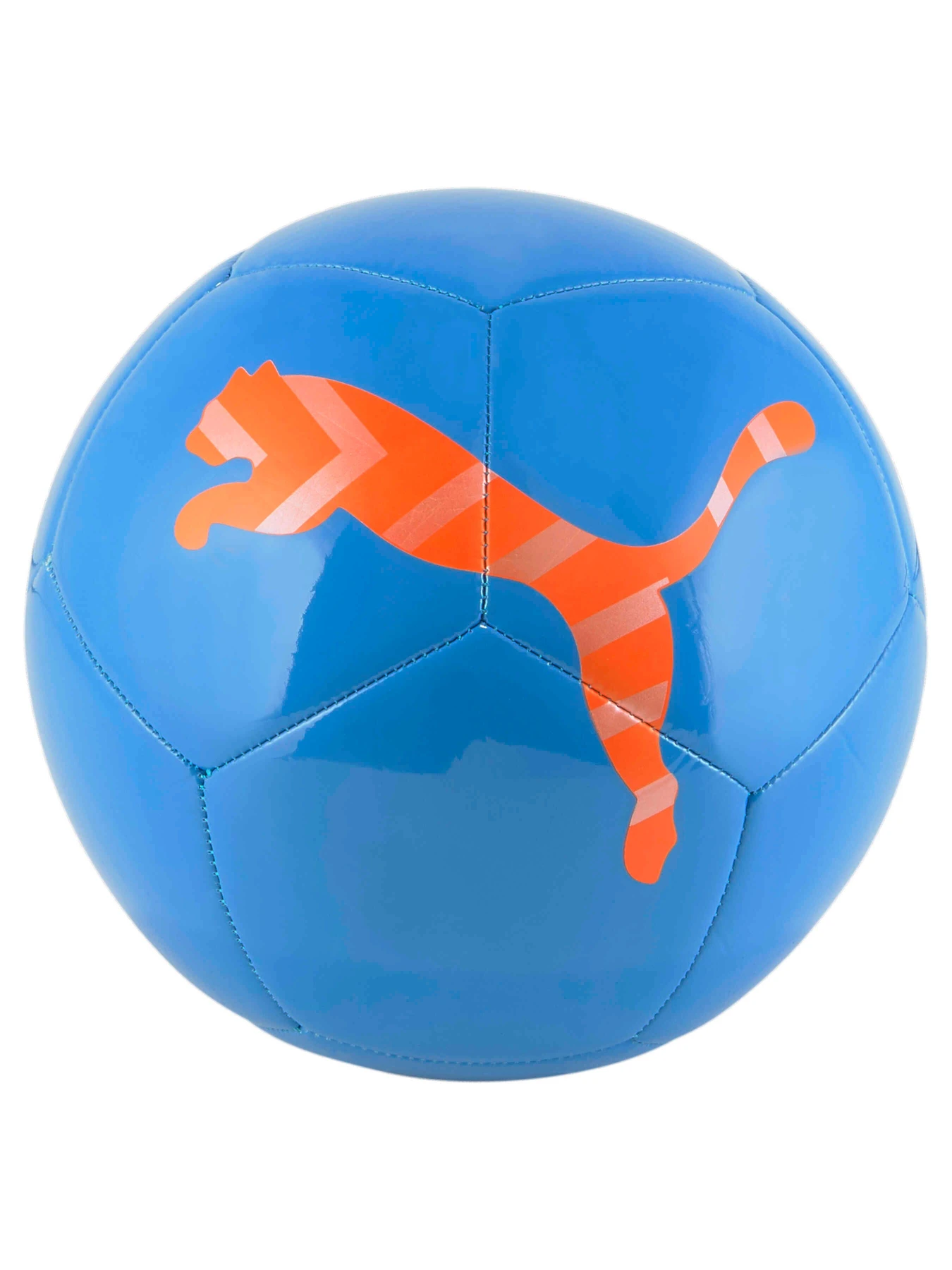 Мячи PUMA Icon Ball модель 083993 Фото