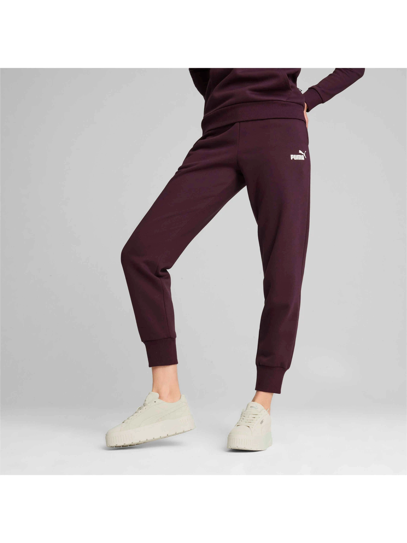 Брюки PUMA Ess Sweatpants модель 586841 Фото