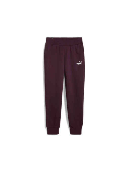 Брюки PUMA Ess Sweatpants модель 586841 Фото