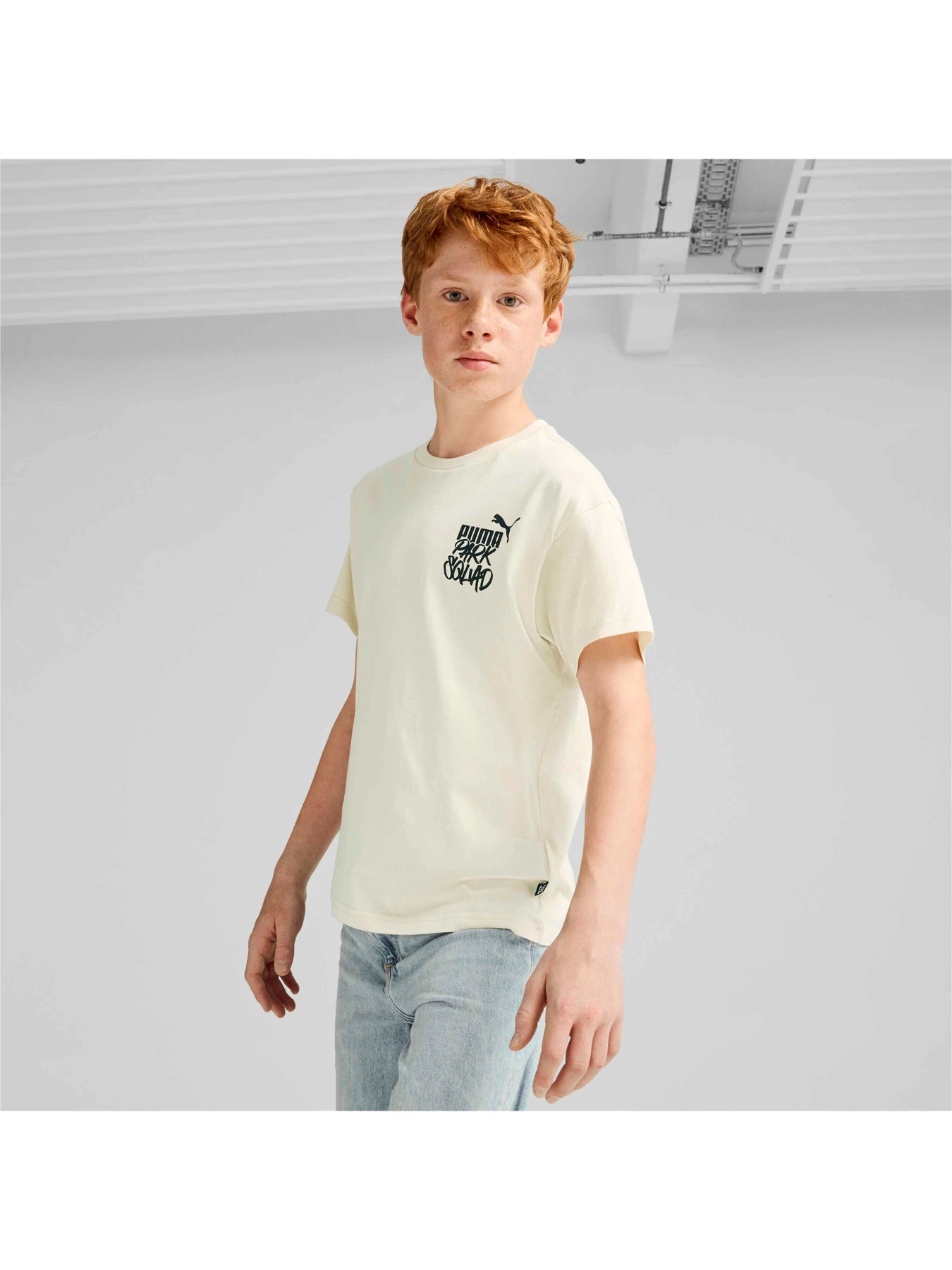 Футболки и поло PUMA Ess+ Mid 90s Graphic Tee модель 681874 Футболки и поло PUMA Ess+ Mid 90s Graphic Tee модель 681874 Фото