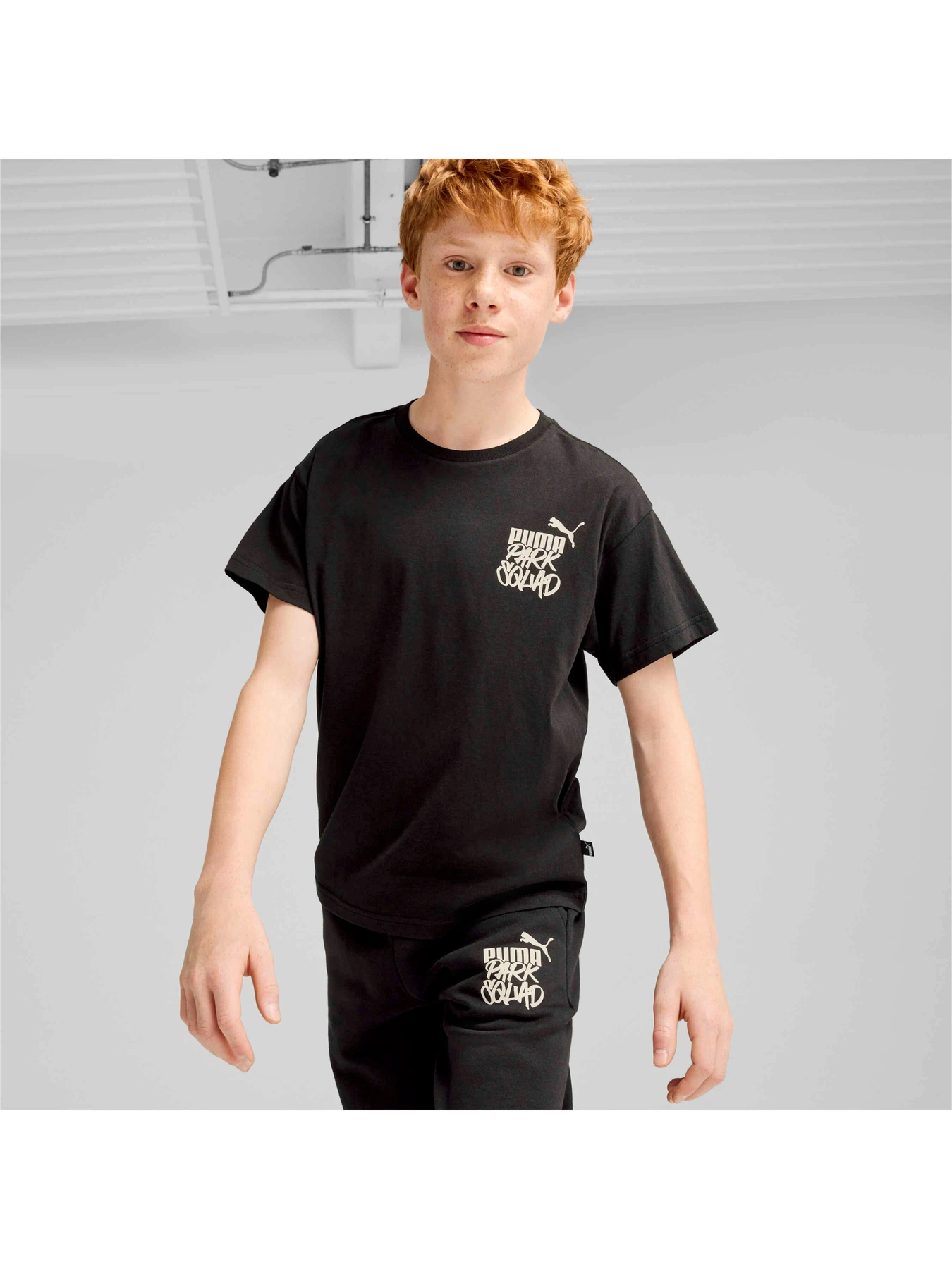 Футболки и поло PUMA Ess+ Mid 90s Graphic Tee модель 681874 Футболки и поло PUMA Ess+ Mid 90s Graphic Tee модель 681874 Фото