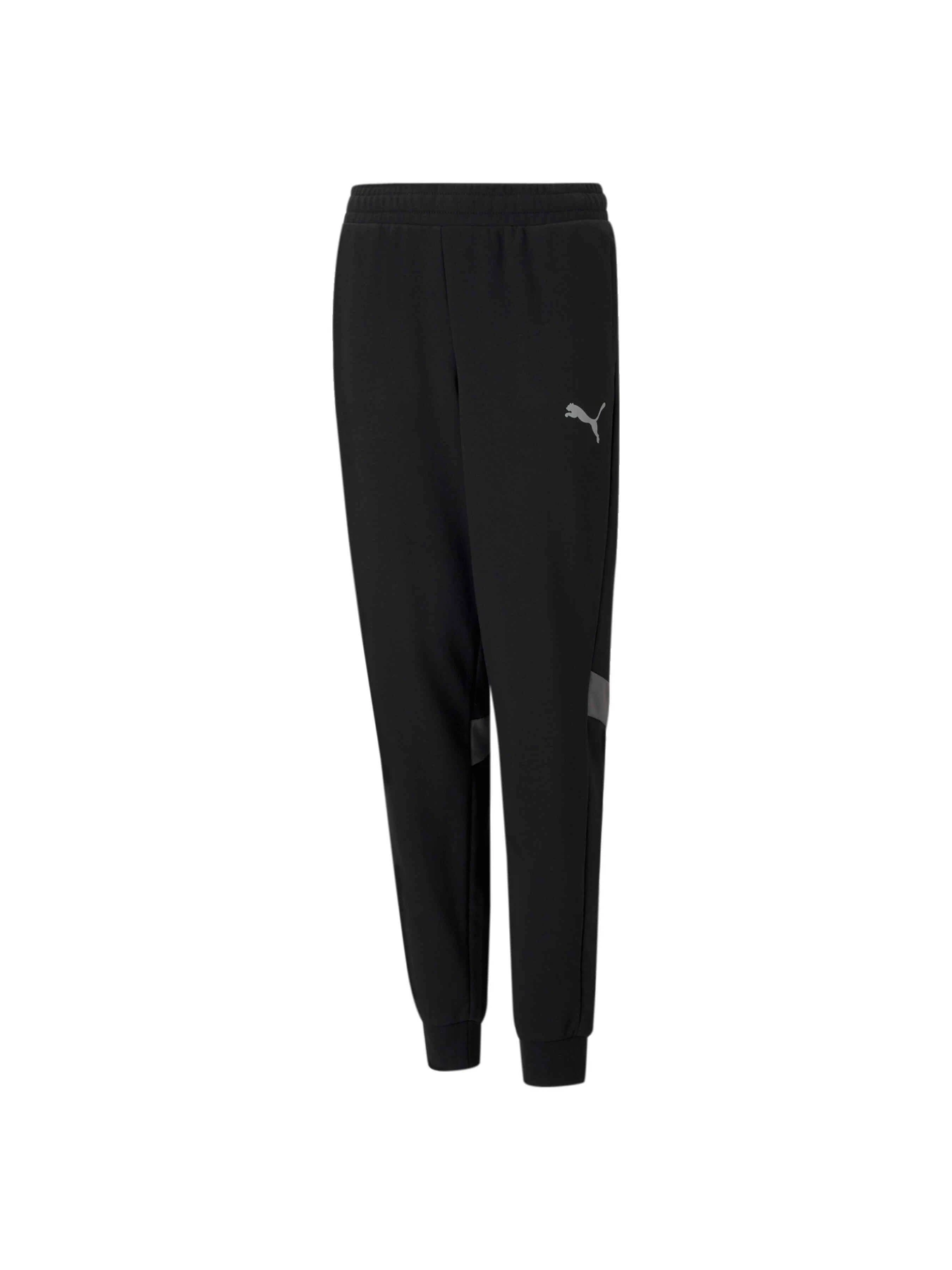 Брюки PUMA Active Sports Sweatpants модель 585862 Фото
