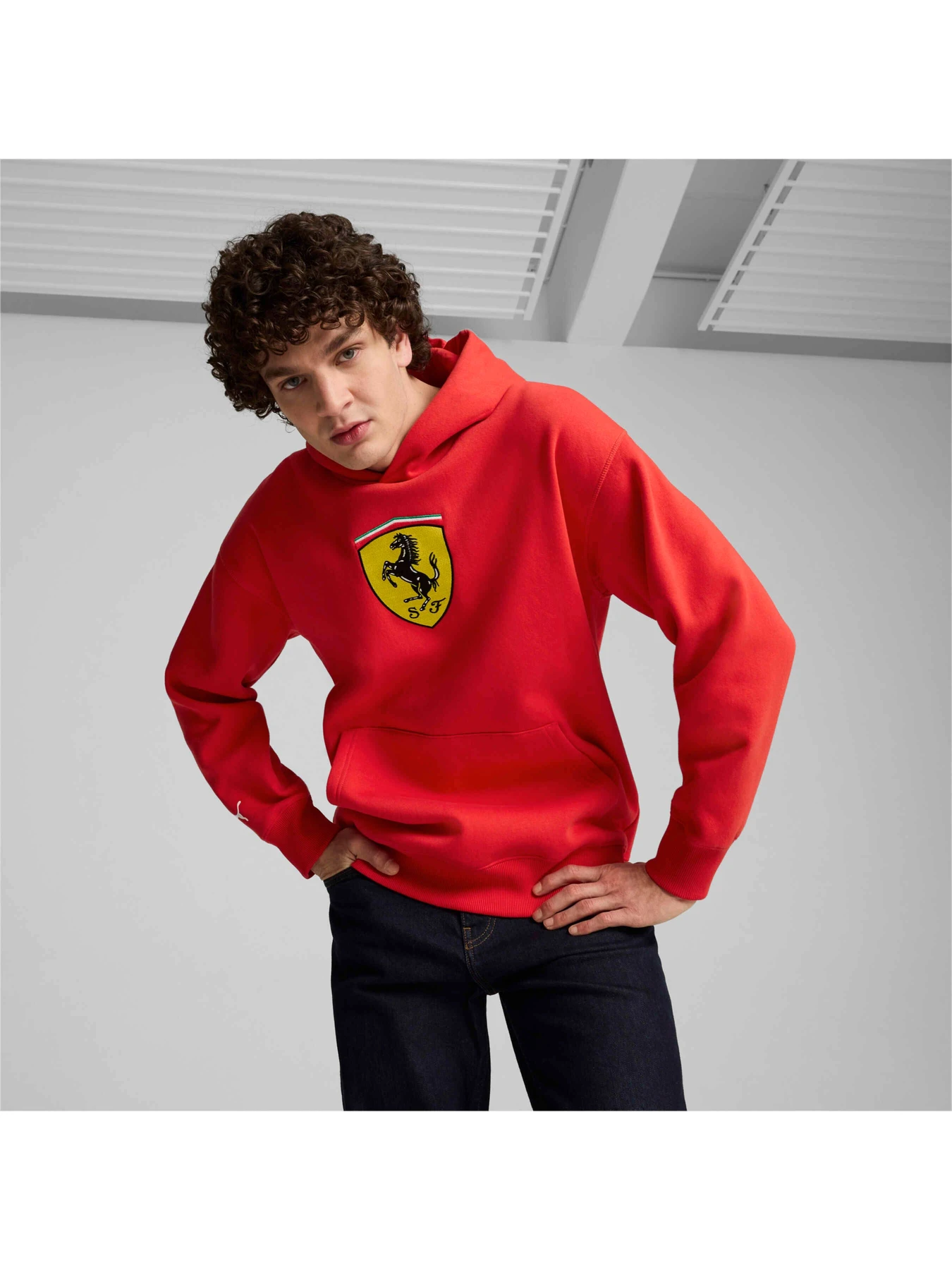 Худи и свитшоты PUMA Ferrari Race Bigshield Hdie модель 627054 Худи и свитшоты PUMA Ferrari Race Bigshield Hdie модель 627054 Фото
