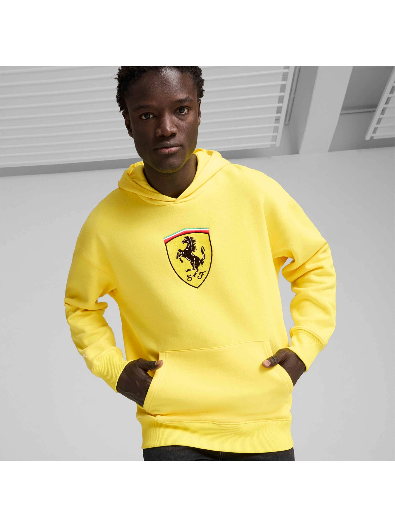 Худи и свитшоты PUMA Ferrari Race Bigshield Hdie модель 627054 Фото