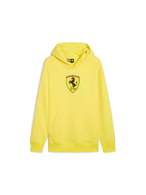 Худи и свитшоты PUMA Ferrari Race Bigshield Hdie модель 627054 Фото