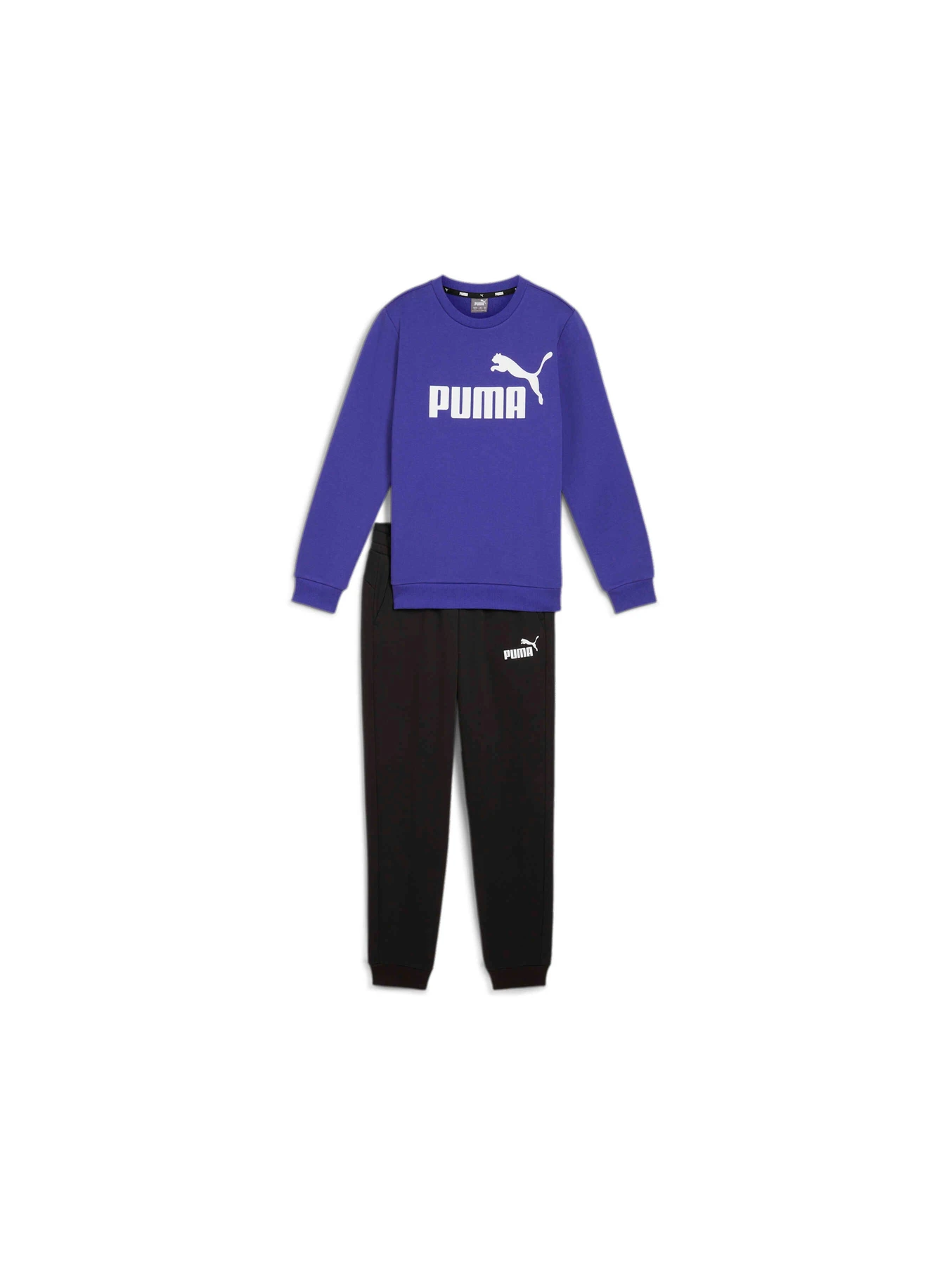 Костюми PUMA No.1 Logo Sweat Suit модель 670884 Костюми PUMA No.1 Logo Sweat Suit модель 670884 Фото